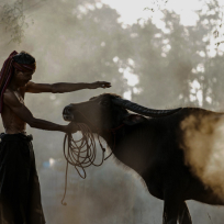 カルチャーインサイトのイメージ画像