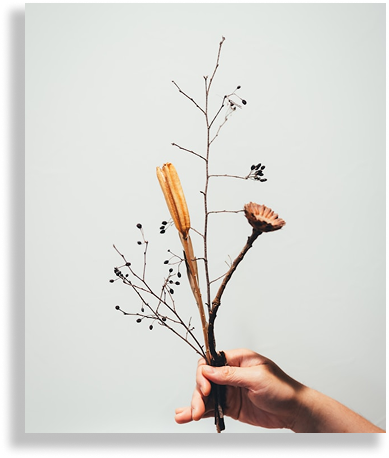 ドライフラワー