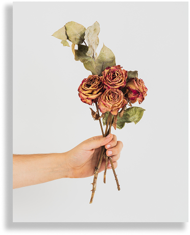 ドライフラワー