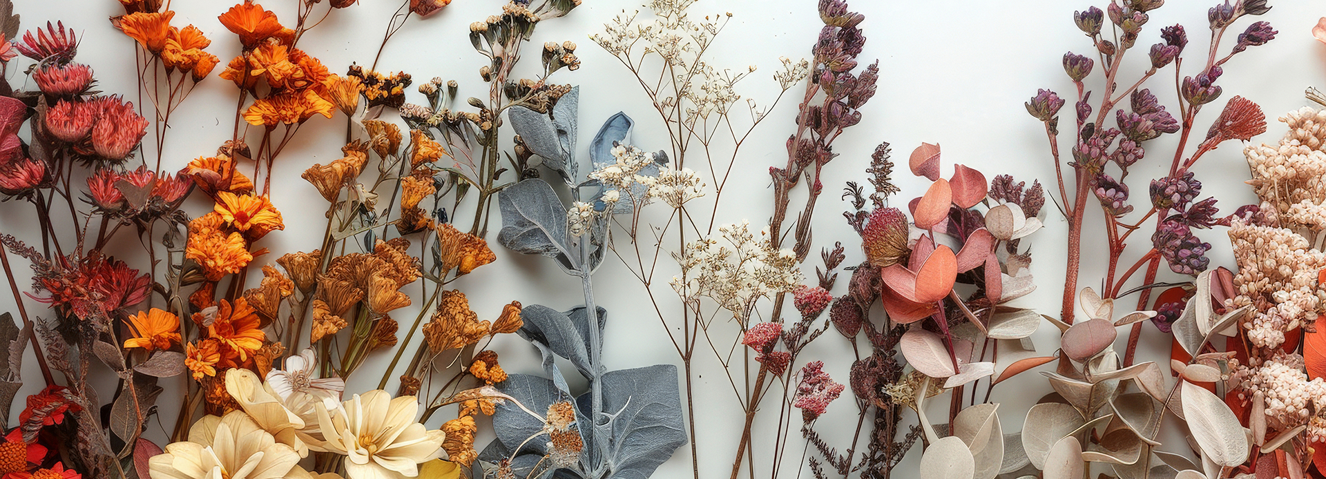 ドライフラワー