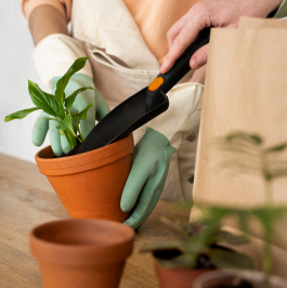 園芸ワークショップ