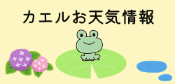 カエルお天気情報
